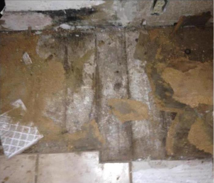 Photo of grey subfloor with brown mold