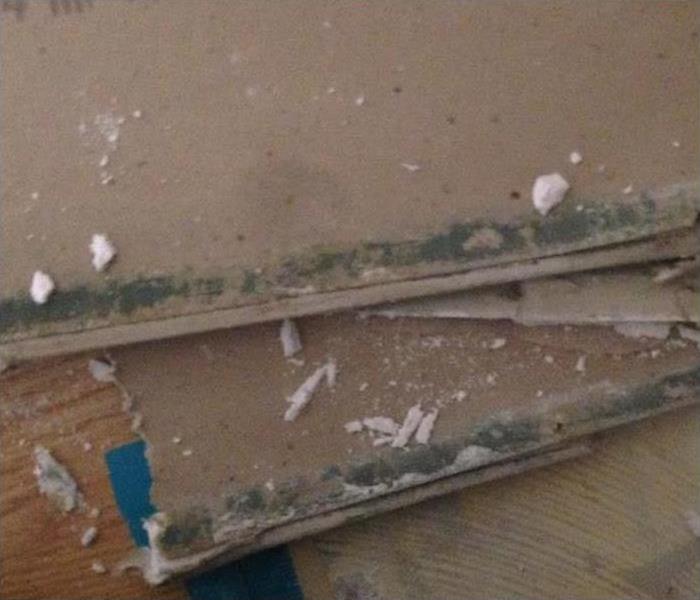 pieces of removed drywall covered in green mold