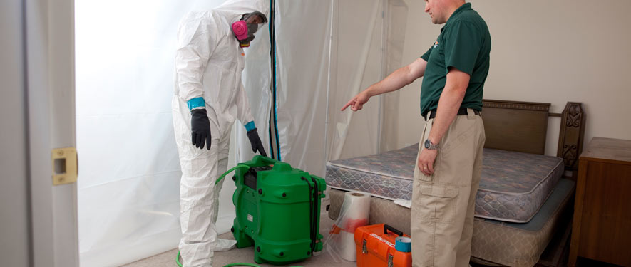 San Ramon, CA mold removal process